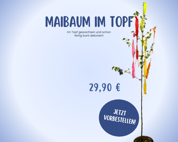 slider image slider_item_fPmei4